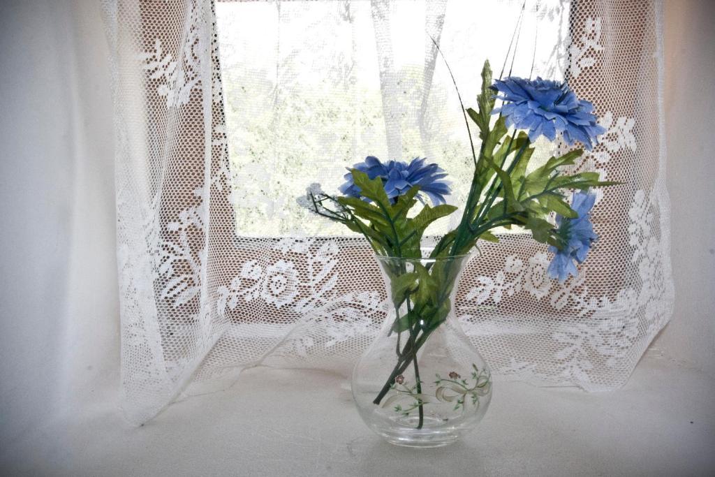 Domaine Le Chec Bed & Breakfast Saint-Ost Bagian luar foto