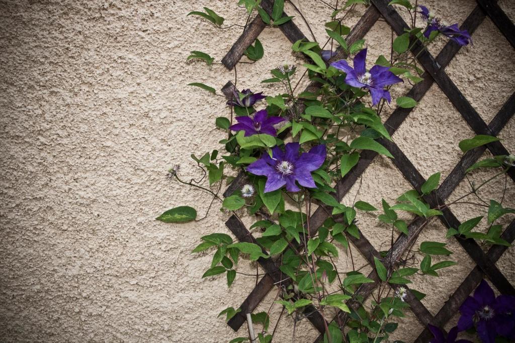 Domaine Le Chec Bed & Breakfast Saint-Ost Bagian luar foto